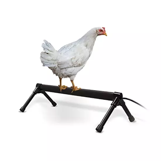 K&H Pet Products Thermo-Chicken Heated Perch