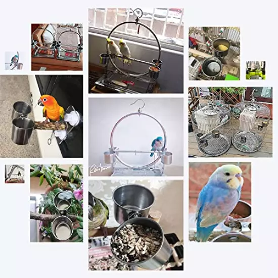 Texsens Bird Feeding Cups - Parrot Food Dish Stainless Steel Parrot Feeders Water Cage Bowls with Clamp Holder for Parakeet African Greys Conure Cockatiels Budgies Chinchilla Small Animal