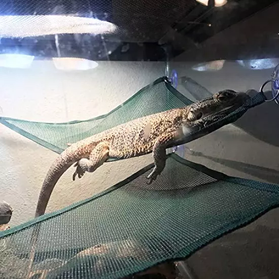 ADOGGYGO Bearded Dragon Lizard Hammock Reptile Hammock Lounger Ladder Bearded Dragon Hammock Accessories For Bearded Dragons Geckos Lizards Reptile Green