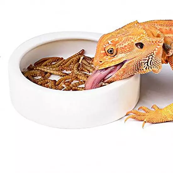 RunXF Large Reptiles Bowl Ceramics Dish Round 5 Inch Bearded Dragon Leopard Gecko Water Food Feeder Anti-Escape Dubia Roach Breadworm Plate With Deep Edge For Lizard Gecko Tortoise (L)