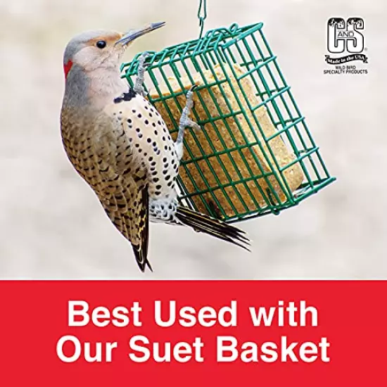 C&S Suet Treats for Wild Birds, 12 Pack