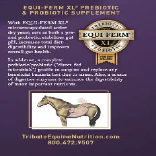 TRIBUTE Kalmbach Feeds Kalm 'N Ez Textured for Horse, 50 lb