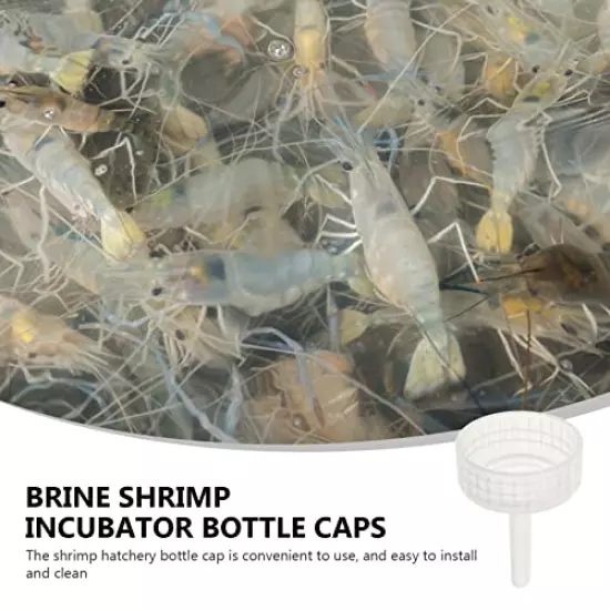 Bottles Brine Shrimp Hatchery Kit: 20 Pcs Shrimp Egg Hatching Bottle Caps Shrimp Hatchery Box Cap Aquarium Brine Shrimp Incubator Bottle Caps