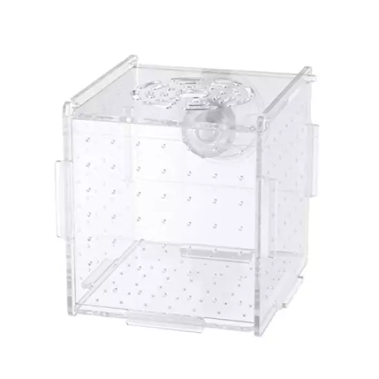 POPETPOP Fish Breeding Box-Isolation Box Breeder Hatchery Incubator Aquarium Fish Breeding Boxes Divider Hatching Boxes Accessory for Small Baby Fishes Shrimp Clownfish Guppy-Small Suction Cup