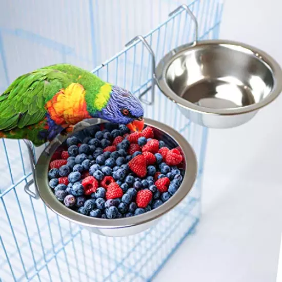 2 Pack Bird Feeder Birds Bowls Stainless Steel Dishes Coop Cups with Wire Hook, Parrot Feeding Dish Cups Food Water Bowls with Bird Food Holder and Rattan Ball for Finches Lovebirds