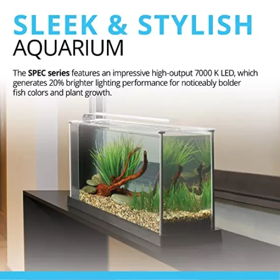 Fluval SPEC Freshwater Aquarium Kit, Aquarium with LED Lighting and 3-Stage Filtration