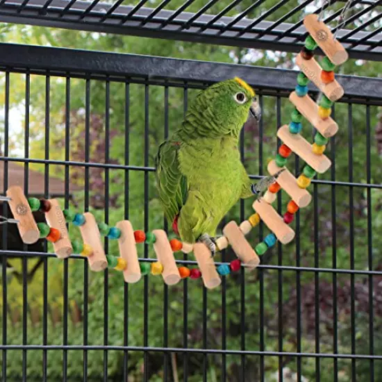 SunGrow Bird Ladder Bridge, Helps Birds with Balance, Made with Raw Wood and Edible Dye, Easy Installation, Bright, Durable and Flexible, Suitable for Small to Medium Birds