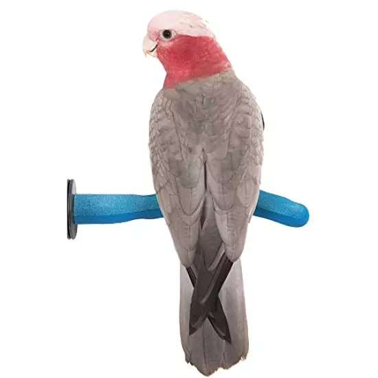 Sweet Feet and Beak Safety Pumice Perch for Birds Features Pumice to Trim Nails and Beak and Promote Healthy Feet - Safe and Non-Toxic, for Bird Cages