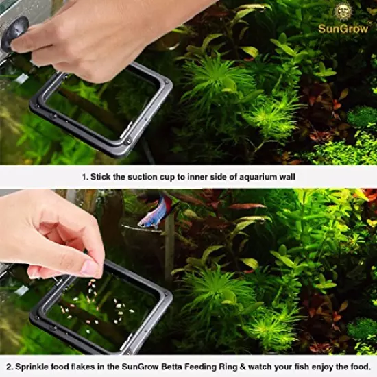 SunGrow Feeding Ring, Floating Food Square, Suitable for Flakes and Floating Fish Food for Goldfish and Other Smaller Fish