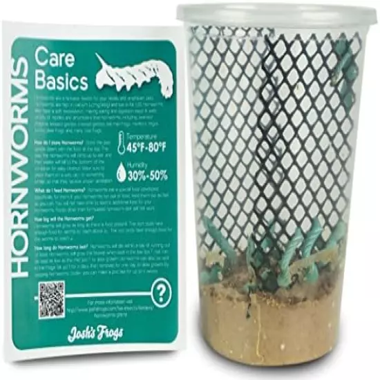 Josh's Frogs Hornworms Habitat Cups Large