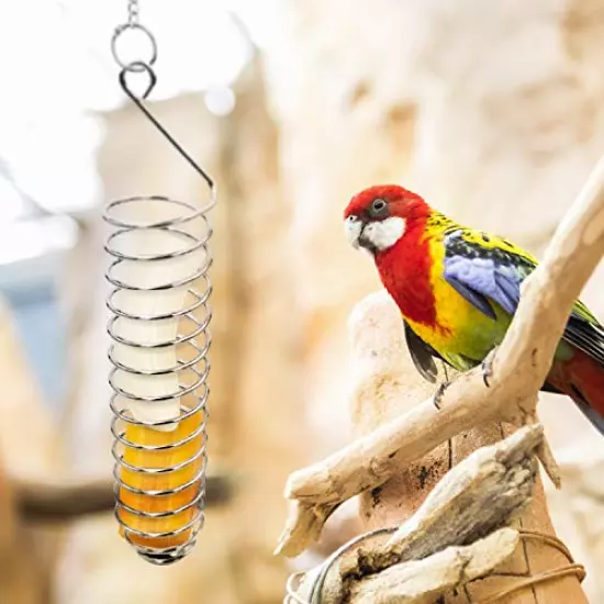 Bird Food Holder, Bird Feeder Toy, Bird Small Animal Fruit Vegetable Holder Stainless Steel Vegetable Skewer Foraging Hanging Food Feed Treating Tool for Parrots Cockatoo Cockatiel