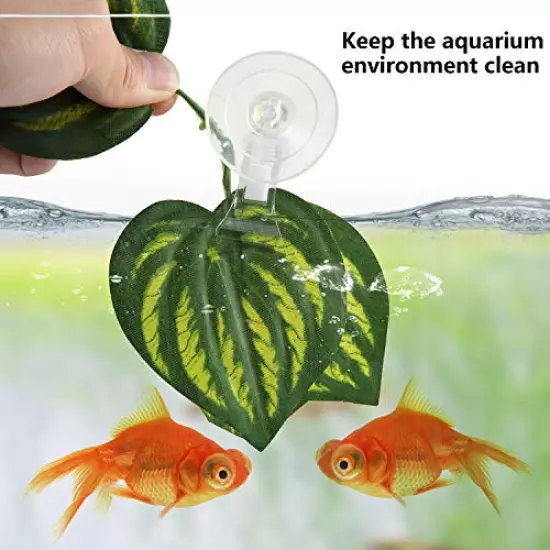 SLSON 4 Pack Fishes Veggie Seaweed Plant Suction Cup Clip Feeding Tool Feed Holder Aquarium Accessories for Fish Tank