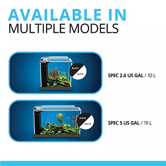 Fluval SPEC Freshwater Aquarium Kit, Aquarium with LED Lighting and 3-Stage Filtration