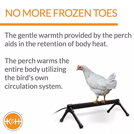 K&H Pet Products Thermo-Chicken Heated Perch