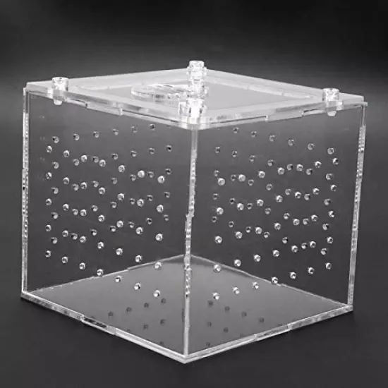 Reptile Breeding Box - 1pc Reptile Terrarium Feeder Snakes Spider Lizard Breeding Box Plastic Storage Box Feeding Hatching Container