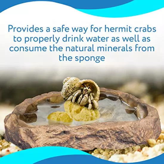 Evergreen Pet Supplies 4-Pack of Natural Hermit Crab Sea Sponges - All Natural Sponge for Crabs - Assists Safer Drinking, Provides Nutrients, Balances Tank Humidity