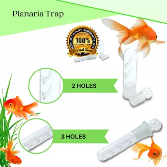 Planaria Trap for Crystal Red Shrimp Tank - Aquarium Bristle Worm Catcher, Cherry Shrimp Dwarf Shrimp Ghost Shrimp Live Freshwater Cleaning Supplies - Clear Glass Leeches Catching Tube