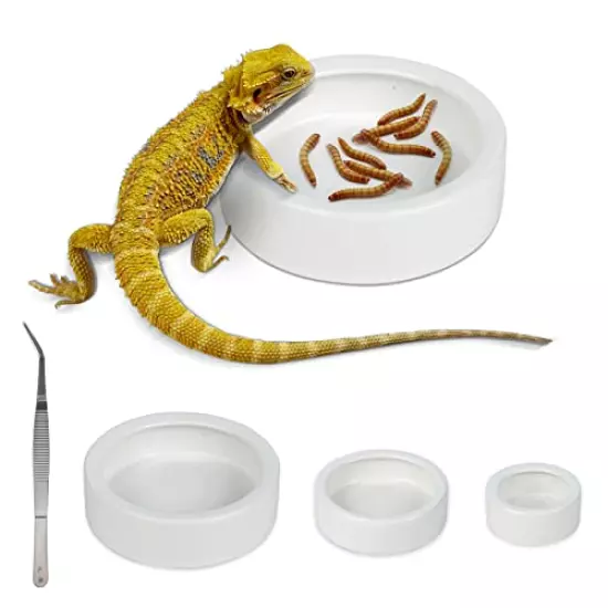 WUHOSTAM Ceramic Reptile Food And Water Bowl Set Of 3,Mini Reptile Feeding Dish,Worm Dish For Lizard Anoles Bearded Dragons(with Tweezer)