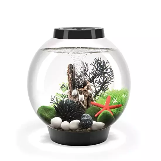 biOrb Classic Aquarium