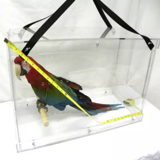 Macaw Acrylic Carriers MTC