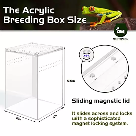 NEPTONION Acrylic Breeding Box Transparent Mini Reptile Habitat Terrarium with Sliding Cover Magnetic Closure for Small Animals and BugsIncluding TarantulasCricketsSnailsHermit CrabsFrogs