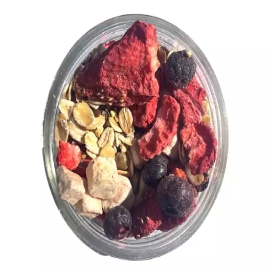 Snout And Shell Hermit Crab Food - Eco Animal Pet Snack Treat For Protein & Nutrients - Aquatic Pet Animal Snack Treat