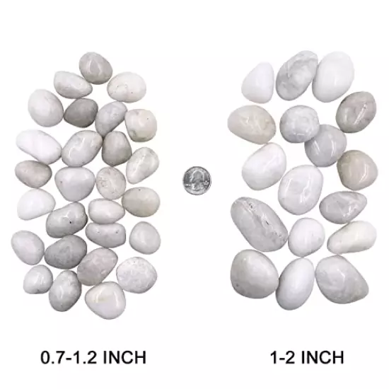 YISZM 5lb Natural Decorative White Pebbles, High Polished River Rock Stones for Plants Vase Fish Tank Aquariums Landscaping Garden Outdoor and Indoor DIY (5 LB,1-2 INCH)