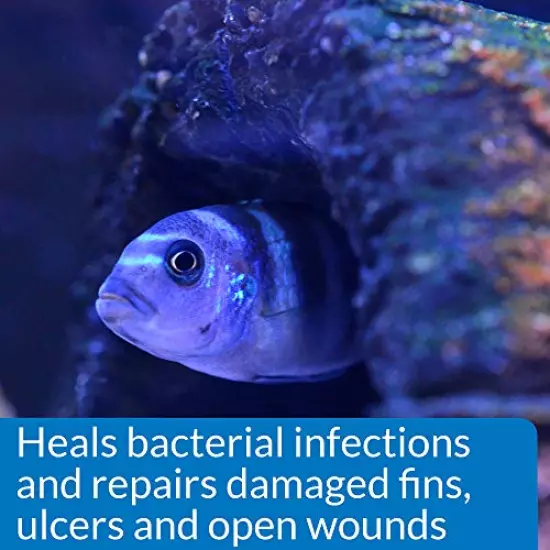 API MELAFIX Fish Remedy, Contains Natural Tea Tree Extract to heal Bacterial infections, Repair fins, ulcers & Open Wounds, Use When Treating Infection or to Prevent Disease Outbreak When Adding Fish