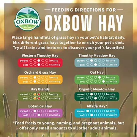 Oxbow Animal Health Alfalfa Hay