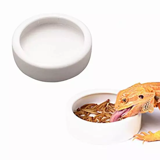 DoubleWood 2PCS Terrarium Bowls Reptile Food Bowl Worm Dish Mini Reptile Food Ceramics Water Bowl For Lizard Anoles Bearded Dragons Crested Gecko Hermit Crabs Triangular