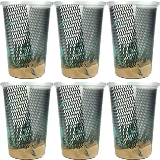 Josh's Frogs Hornworms Habitat Cups Large