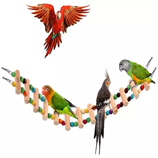 SunGrow Bird Ladder Bridge, Helps Birds with Balance, Made with Raw Wood and Edible Dye, Easy Installation, Bright, Durable and Flexible, Suitable for Small to Medium Birds