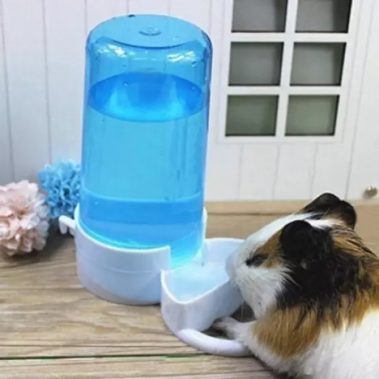 Old Tjikko Pet Feeder Automatic,Bird Hamster Small Animal Feeder, Automatic Feeding Device Dispenser for Hamster Bird Pigeon Parrots Mini Hedgehog with Holder (5.90x2.83x6.10in)