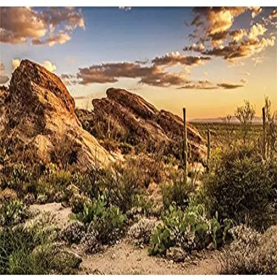 AWERT Reptile Habitat Background Blue Sky Oasis Cactus Sun and Desert Terrarium Background Durable Polyester Background