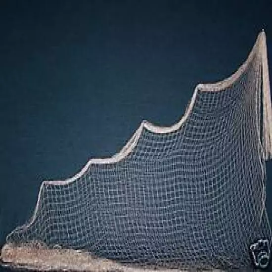 300' x 5' QUAIL POULTRY GAME BIRD NETTING 1" #208 