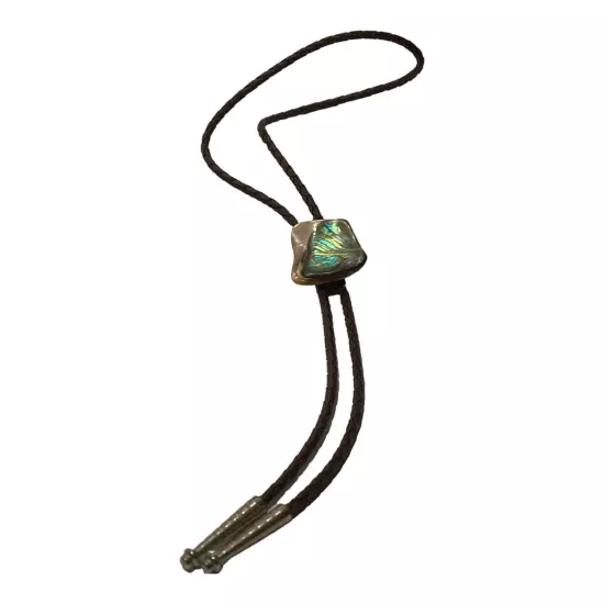 Bolo Tie large Colorful Polished Rock Stone With Metal Bullet Tips