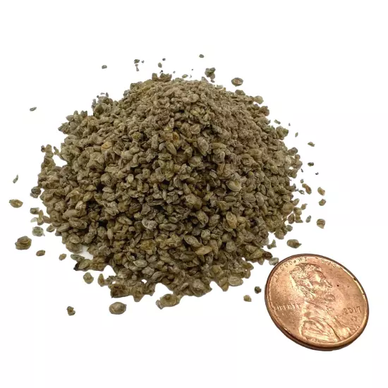 Freeze Dried Daphnia 0.5 oz, Fish Food for Freshwater and Marine Aquarium Fis...