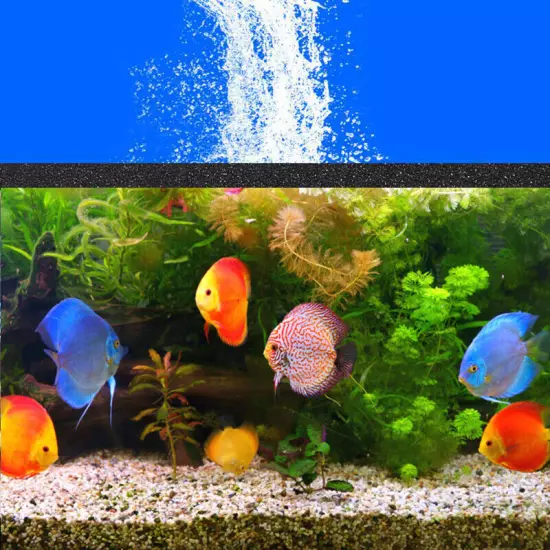 Bio Sponge Filter Media Pad Cut-to-fit Foam up to 20"x20"x2" Aquarium Fish Tank