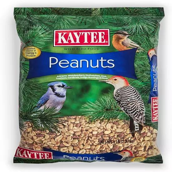 Shelled Peanuts for Woodpeckers, Nuthatches, Jays, Towhees, Cardinals