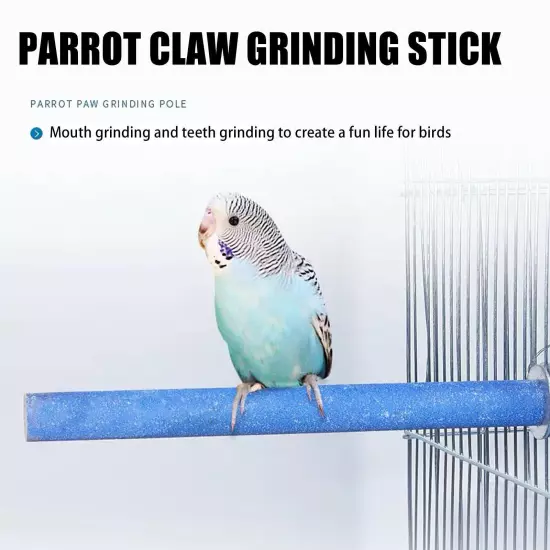 Parrot Paw Grinding Perch Stand Pet Bird Quartz Branch Budgie Shelf Chewing NICE