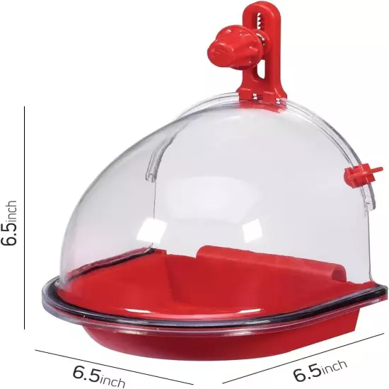 Suitable For Pet Insight Bird Bath Bird Accessory , Healthy and fun