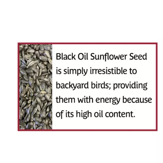 Pennington Select Black Oil Sunflower Seed Dry Wild Bird Feed, 40 lb. Bag, 1 Pac