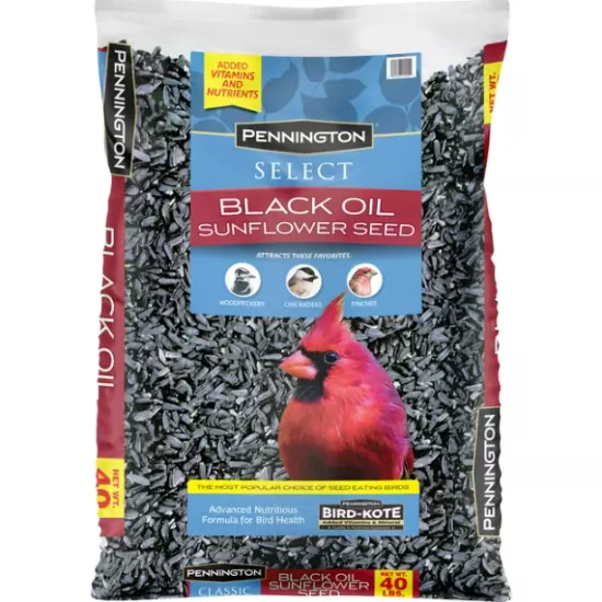 Select Black Oil Sunflower Seed Dry Wild Bird Feed, 40 lb. Bag, 1 Pack