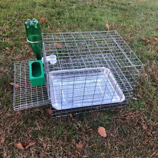 Quail Coturnix Laying Bird Breeding Cage W/ Egg Roll Out, Feeder, Drinker, Tray