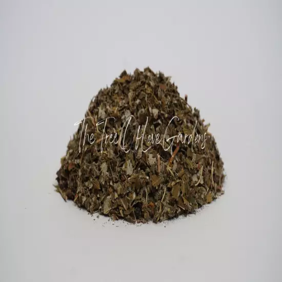 Raspberry Leaf | Cullinary Grade | Raspberry Tea | Rubus Idaeus