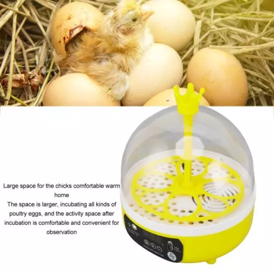 Automatic Egg Incubator Mini 4 Egg Temperature Humidity Control Auto Turner