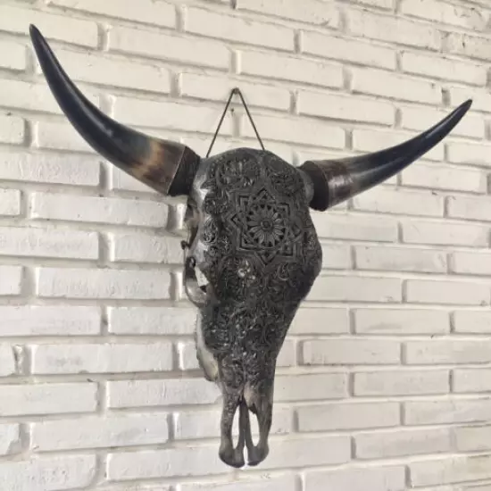 Huge Cow Skull CARVED Skull RAM SKULL HORNS Cow Buffalo Goat buffalo steer Bull 