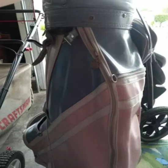 vintage golf bag