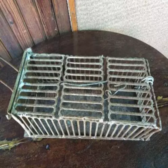 Vintage Primitive Iron Mouse Trap Cage