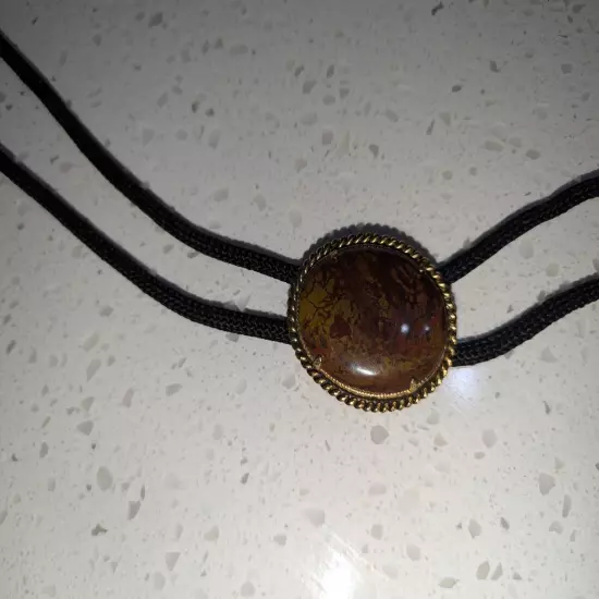 Tiger's Eye Stone Mens Bolo Tie Cowboy Vintage 